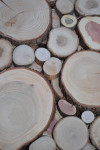 Rondelles de bois...m2 de 3 à 15 cm