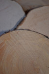 rondelles de bois Ø 10 < à > 14 cm
